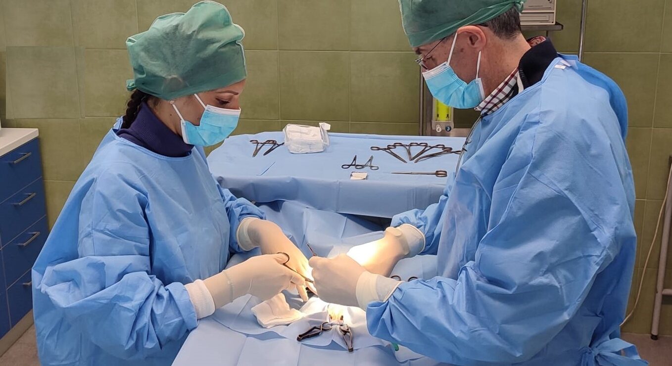 ASP-CATANIA-sterilizzazione-cani-e-gatti-22.03.2023-2-e1679581861268 ASP Catania: riparte la sterilizzazione gratuita di cani e gatti