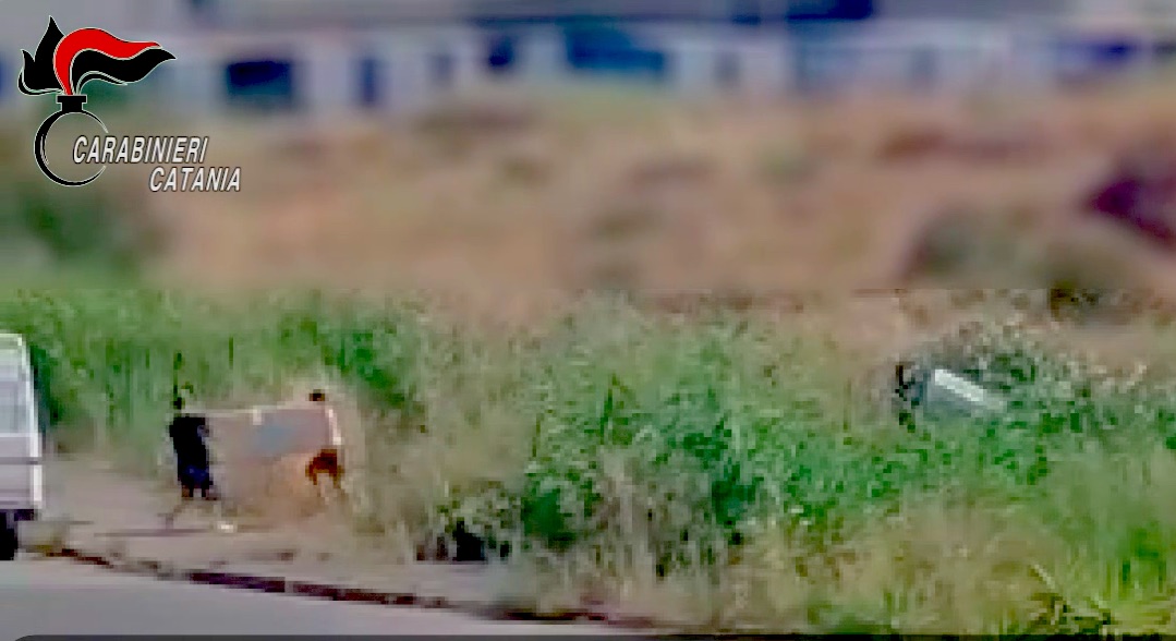 Furto-frigoriferi Rubano frigoriferi da un Tir -VIDEO