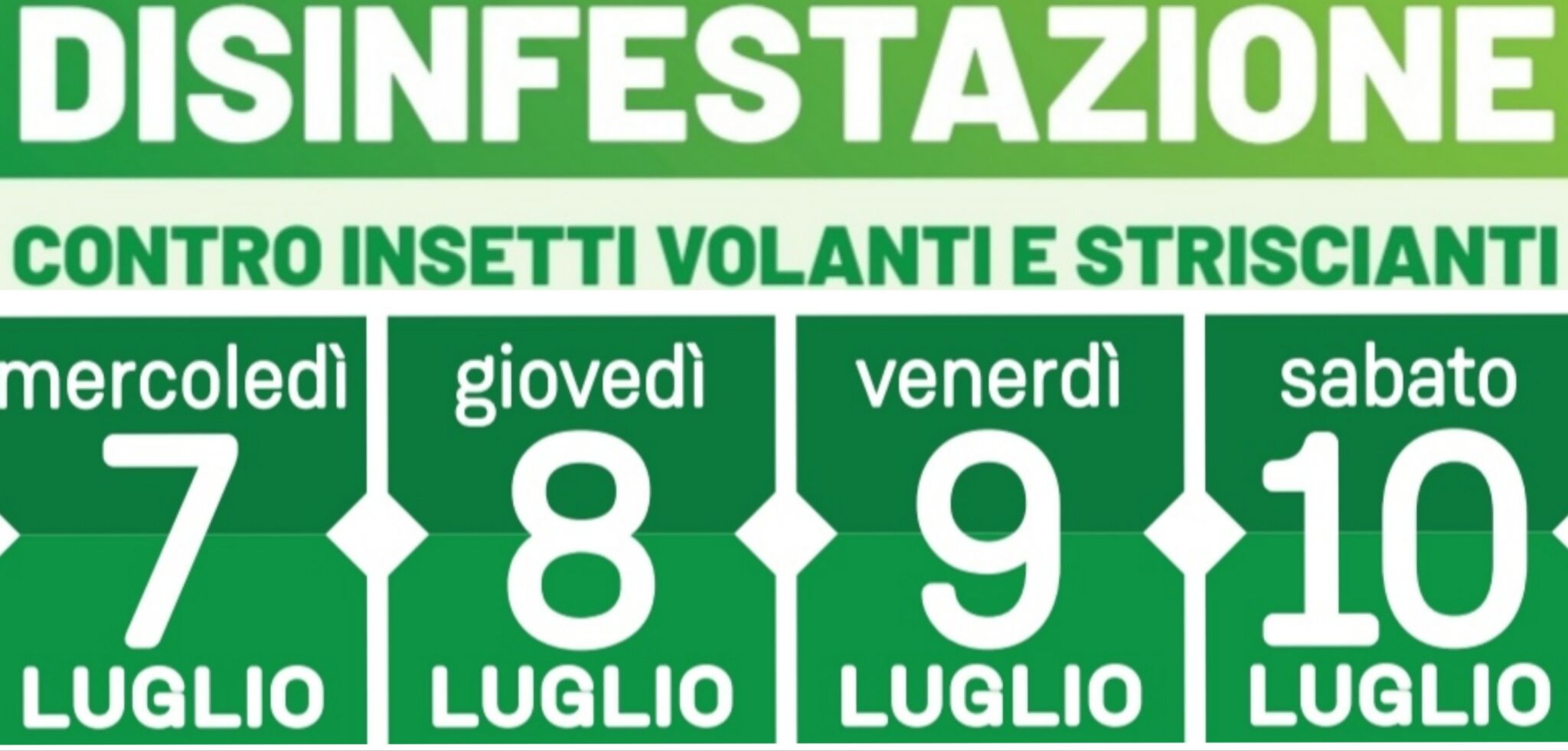 Belpasso, disinfestazione contro insetti