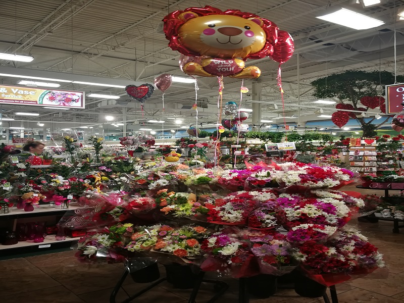 sdr La vita di una siciliana in America, ecco il San Valentine’s Day