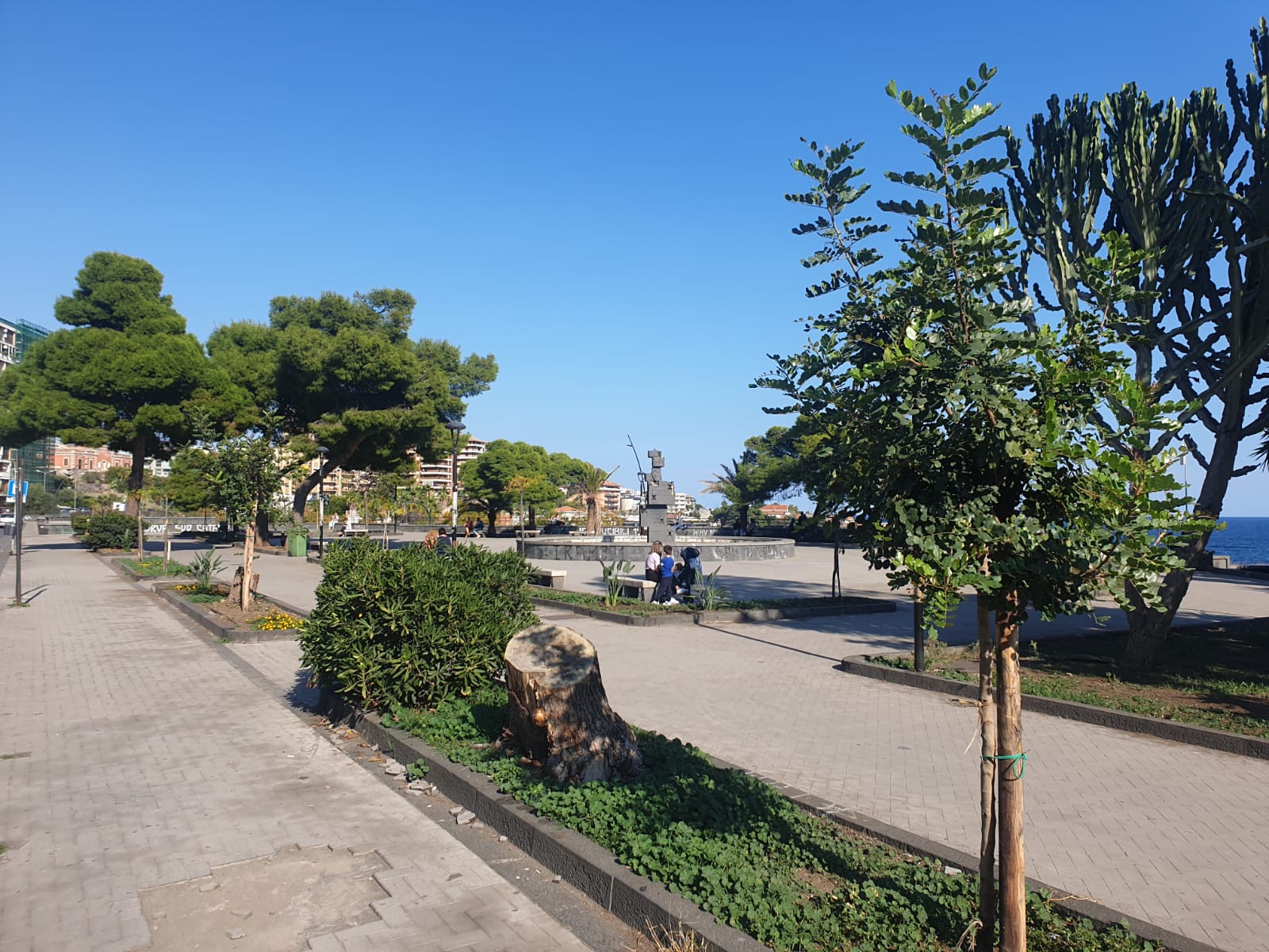 Legambiente, progetto 2000 alberi per Catania: ritorna il verde in piazza Europa