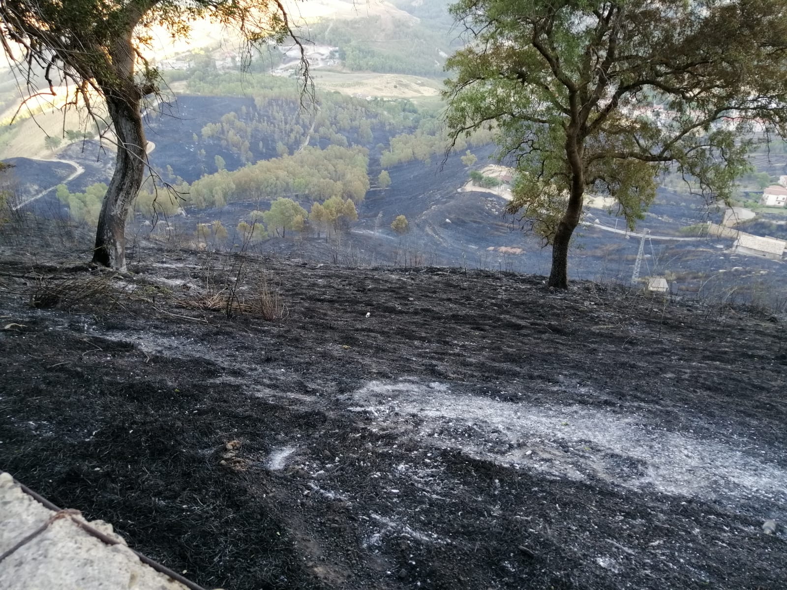 Monte-Ilice Etna, “bombardare” di semi Monte Ilice: perchè?