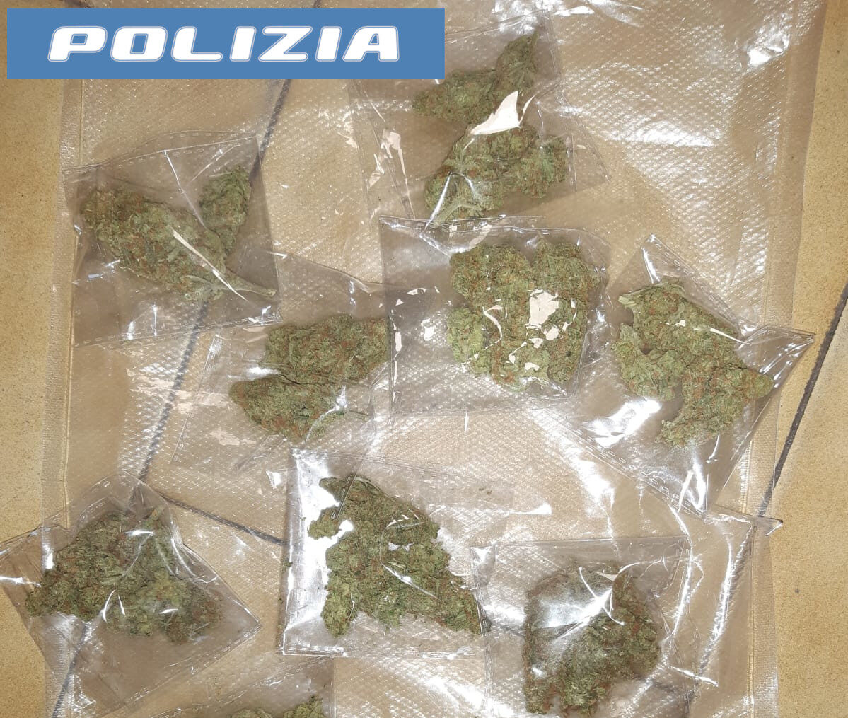 NON-SI-FERMA-ALLALT-E-SPERONA-UNA-VOLANTE-ARRESTATO-DALLA-POLIZIA-DI-STATO-50ENNE-TROVATO-IN-POSSESSO-DI-MARIJUANA1.-e1705422979794 Catania, arrestato 50enne in possesso di marijuana