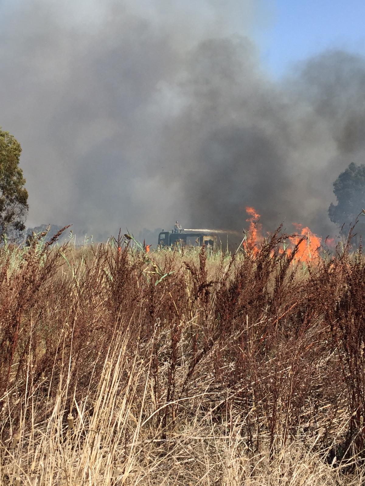 PHOTO-2019-09-19-23-47-37 L’Oasi del Simeto divorata dalle fiamme dolose – FOTO e VIDEO