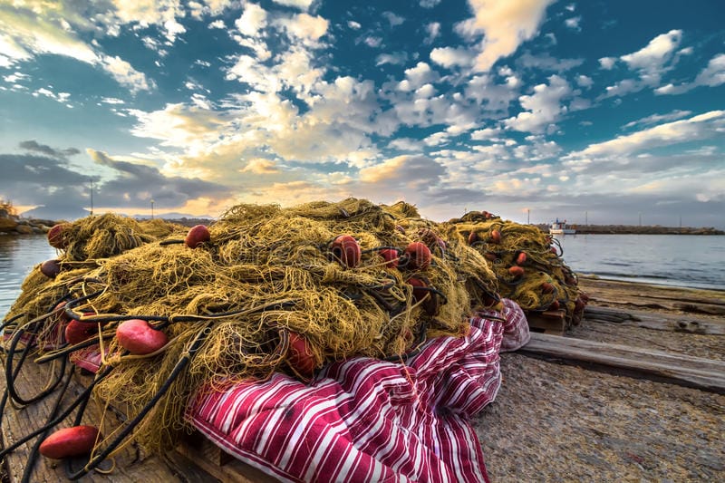 Pesca Coronavirus e pesca. Micalizzi ( APMP) chiede lo stato di calamità per il comparto siciliano