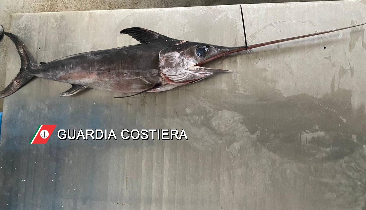 Alla Pescheria Guardia Costiera e Carabinieri sequestrano pesce vietato.