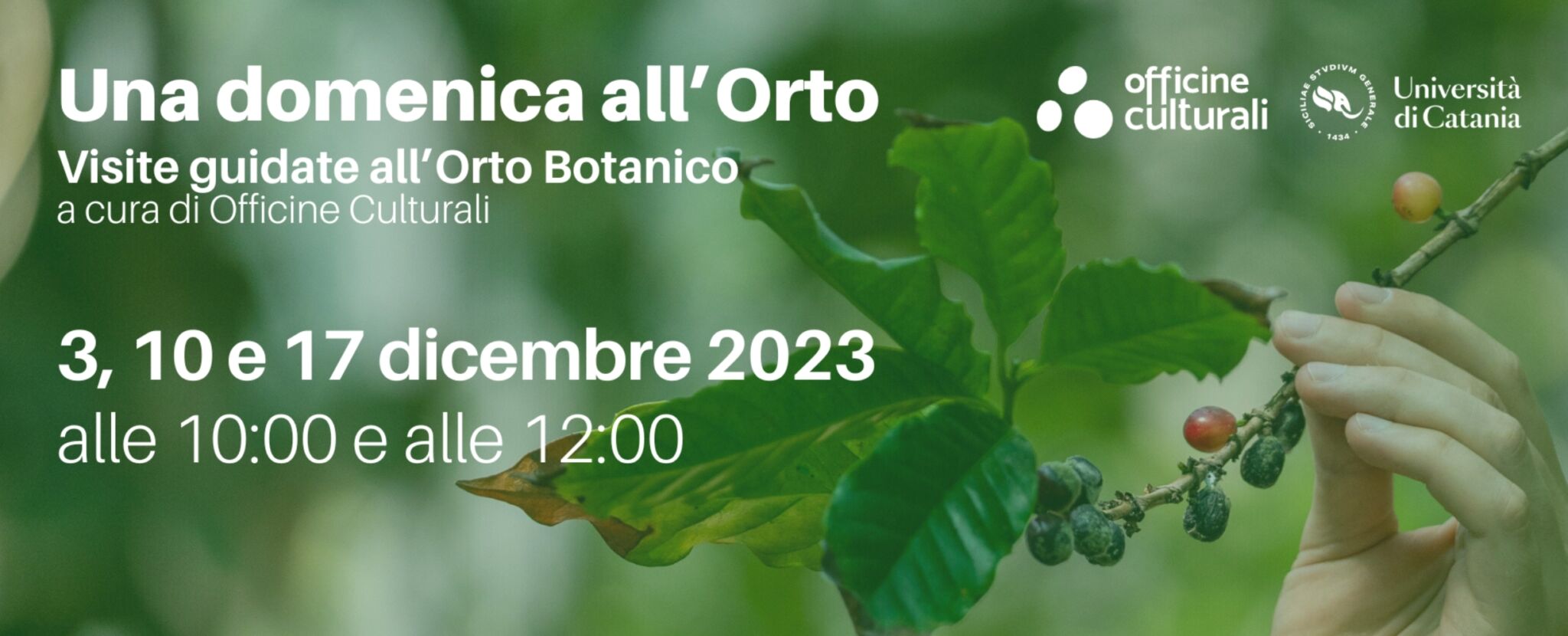 Officine Culturali, 3, 10 e 17 dicembre visite guidate all’Orto Botanico