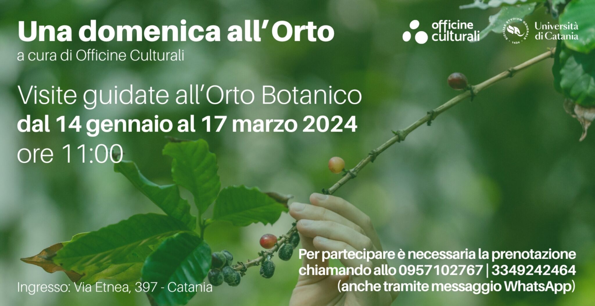 SmartSelect_20240110_155526_Gallery Una domenica all’Orto, dal 14 gennaio al 17 marzo 2024