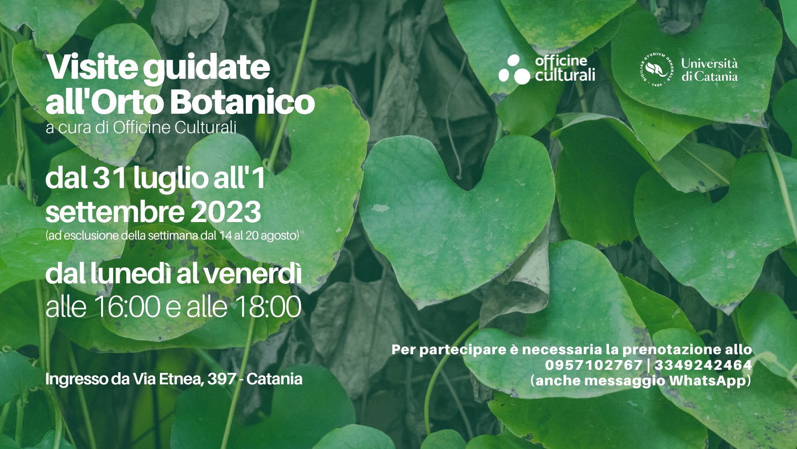 Officine Culturali, le visite guidate all’Orto Botanico nel mese di agosto