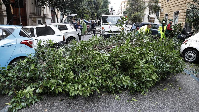 Maltempo: Roma; tegole e rami caduti per vento forte Maltempo, le vittime del nubifragio. La penisola colpita dalla pioggia