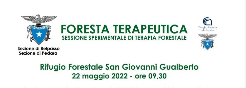 fb7b971b-0194-4e41-a9d7-0cee181895a5 Domenica “Terapia Forestale” presso Rifugio Forestale San Giovanni Gualberto