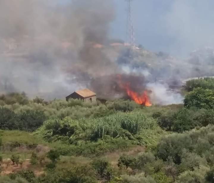 incendio-Collina-Vampolieri Aci Castello, collina di Vampolieri: anche oggi hanno acceso il fuoco! -VIDEO