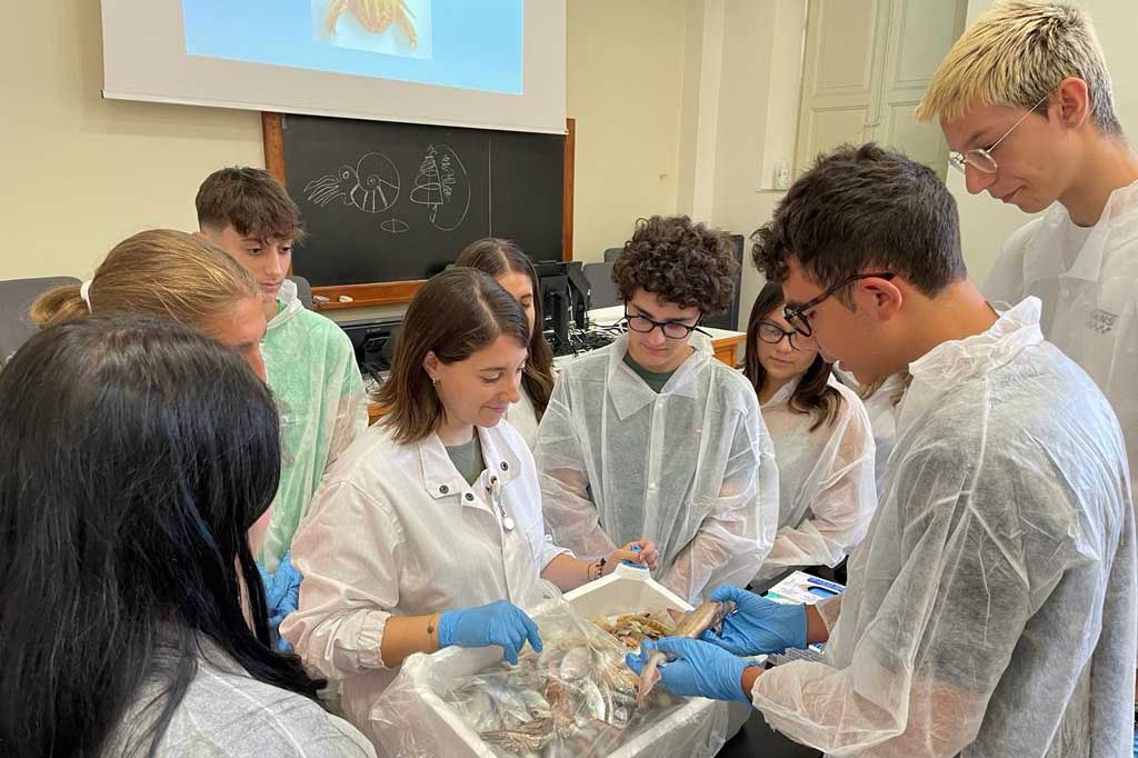 Il Mediterraneo e la tutela della biodiversità: summer school del Progetto OUI