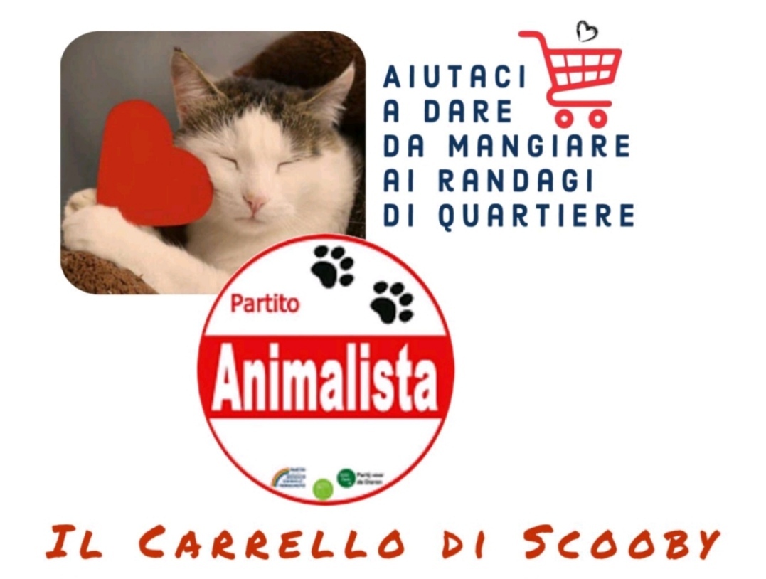 Un Carrello solidale per aiutare le volontarie che si occupano dei cani di quartiere e dei gatti delle colonie feline