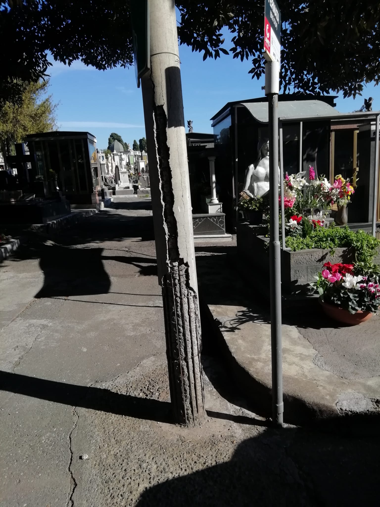 Catania, pali della luce danneggiati al Cimitero e a San Giorgio. Le proteste: “Rischio caduta in ogni momento”