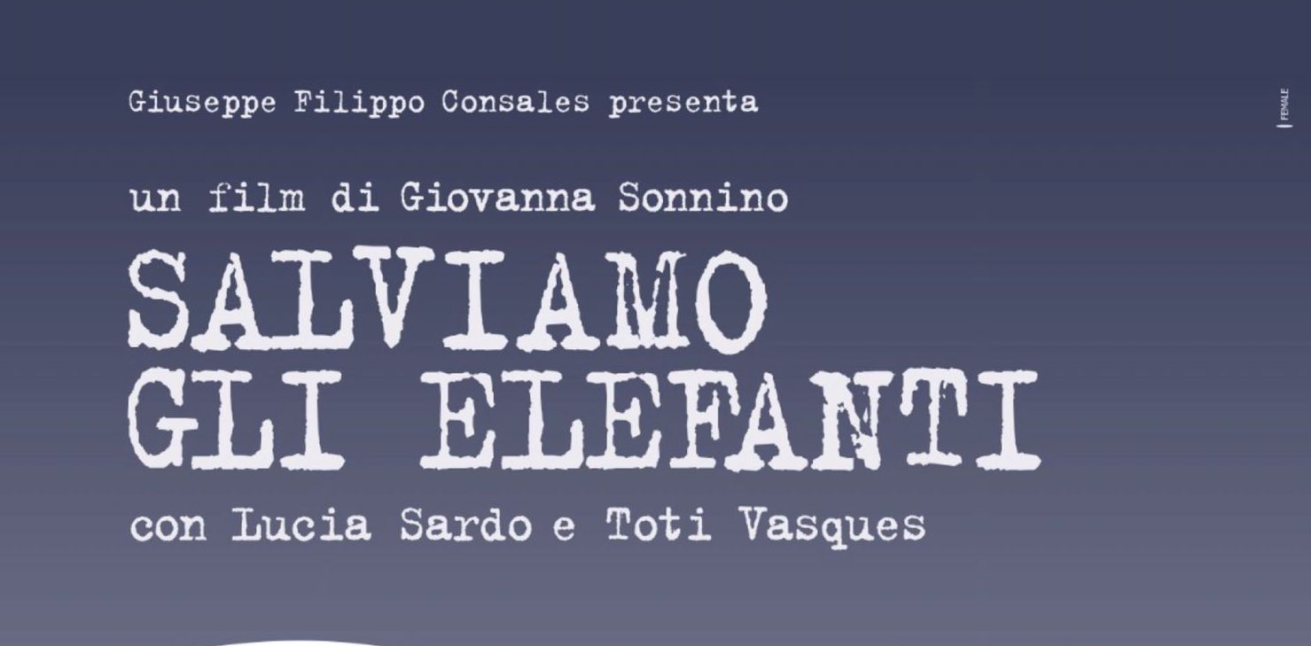 Museo del Cinema, 8 marzo Salviamo gli elefanti Al Museo del Cinema l’8 marzo il corto “Salviamo gli Elefanti”