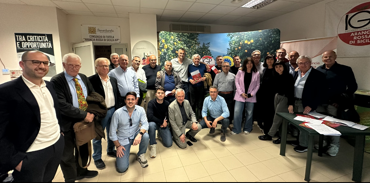 assemblea_consorzio Agrumicultura, “stagione in chiaroscuro”