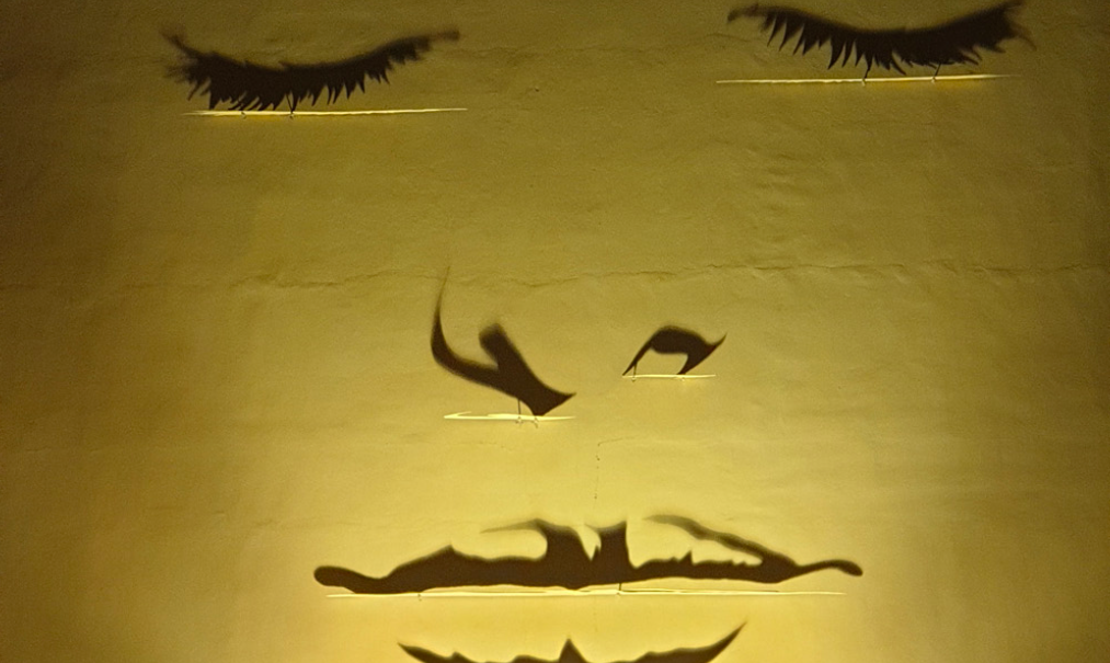 Magma Magma, il più grande Museo all’aperto di Arte contemporanea