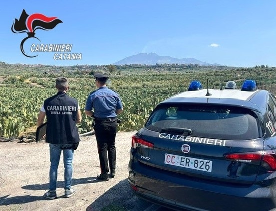 caporalato a biancavilla Caporalato a Biancavilla, denunciati titolari di due società agricole