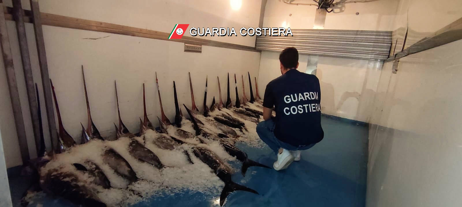 Guardia Costiera sequestra una tonnellata di pesce