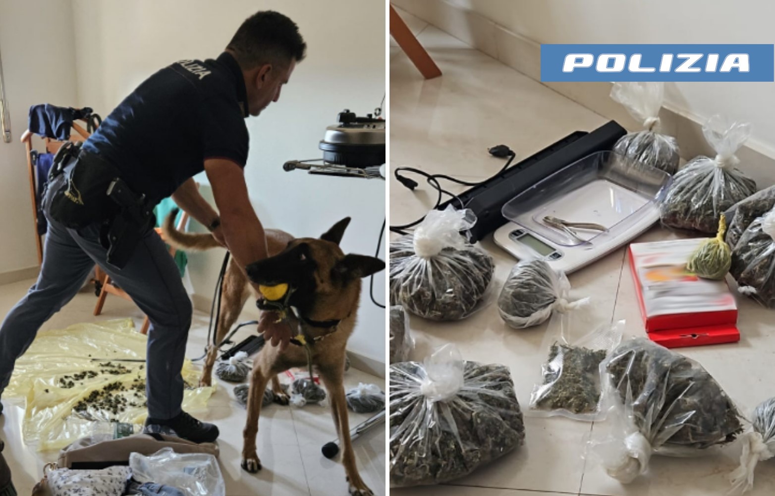Coltivavano marijuana in una terrazza al corso indipendenza