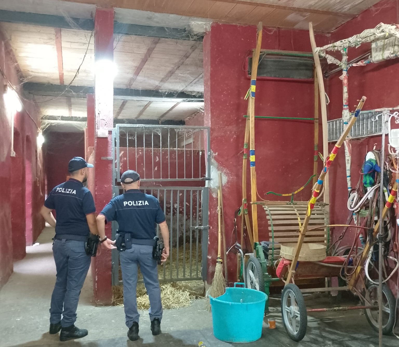 TASK FORCE DELLA POLIZIA DI STATO PER CONTRASTARE LE CORSE CLANDESTINE SCOPERTE 6 STALLE ABUSIVE A SAN CRISTOFORO, SANZIONI PER 17 MILA EURO 2 A San Cristoforo scoperte sei stalle abusive