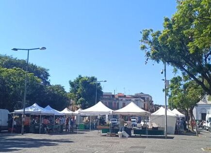 Piazza Palestro, inaugurato stamattina il mercatino bio