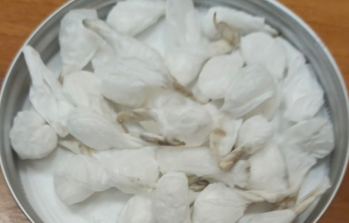 cocaina Acireale, pusher nascondeva in bagno 30 dosi di cocaina