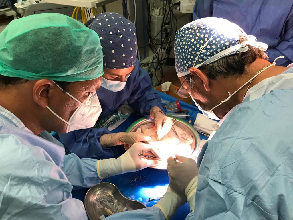TRAPIANO RENE GENNAIO 2025 Policlinico, un successo il primo trapianto dell’anno