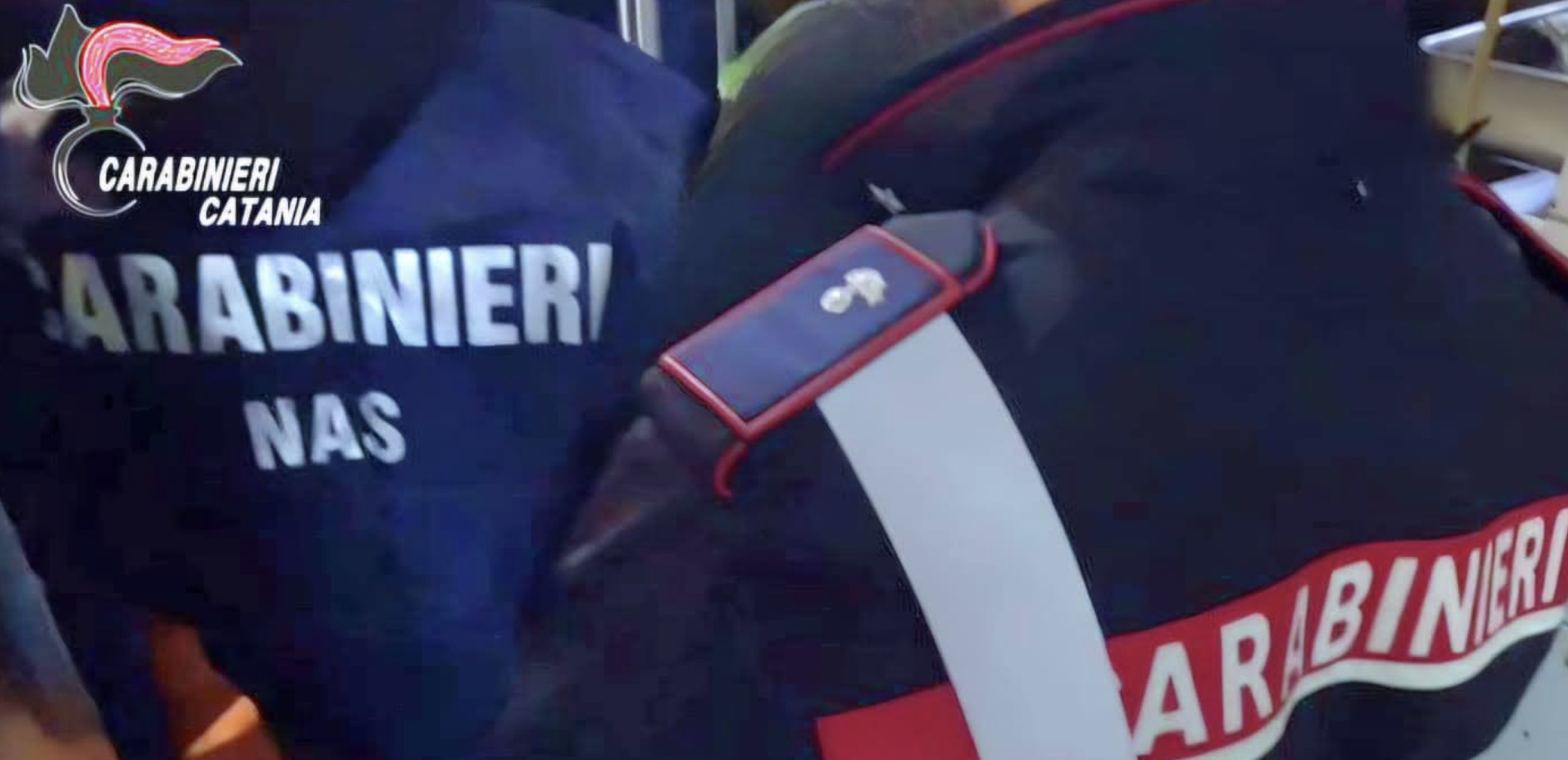 Screenshot 2025-02-28 alle 15.21.15 Insetti, cicche e sporcizia in un’attività catanese