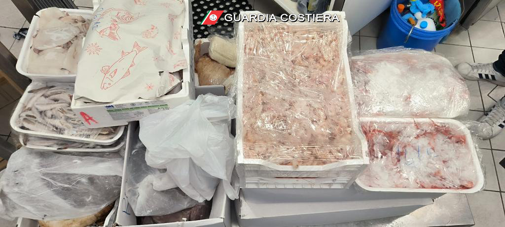 sequestro pesce Guardia costiera sequestra 320 chili di pesce