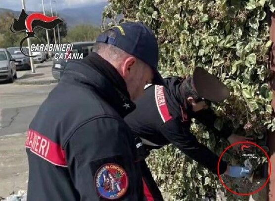 controllo droga 3 Bronte, cane King trova delle droga in una scuola