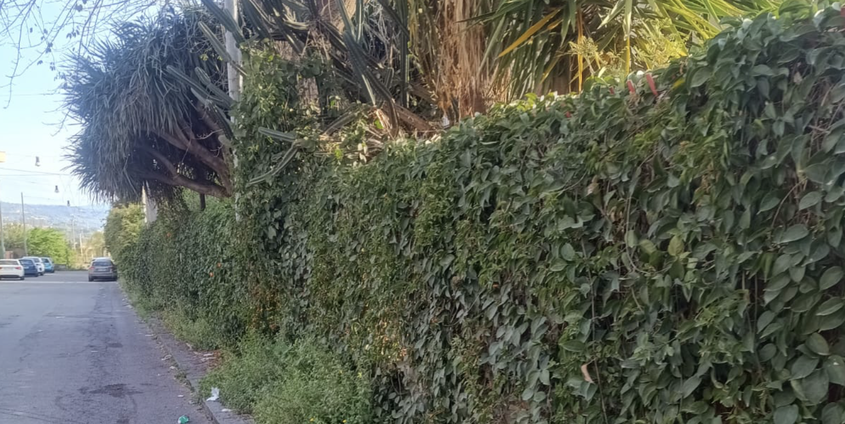 Riposto, penali per 25mila euro alla ditta Impregico