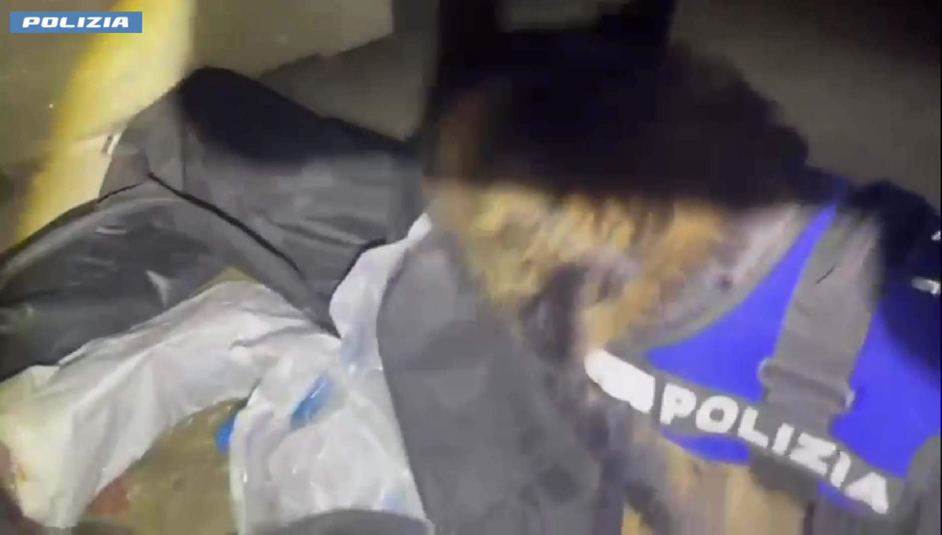 3,5 CHILI DI DROGA NASCOSTI IN UN GARAGE DELLO ZIO DELLA FIDANZATA, 27ENNE ARRESTATO DALLA POLIZIA DI STATO Teneva 3,5 chili di droga nel garage. Arrestato