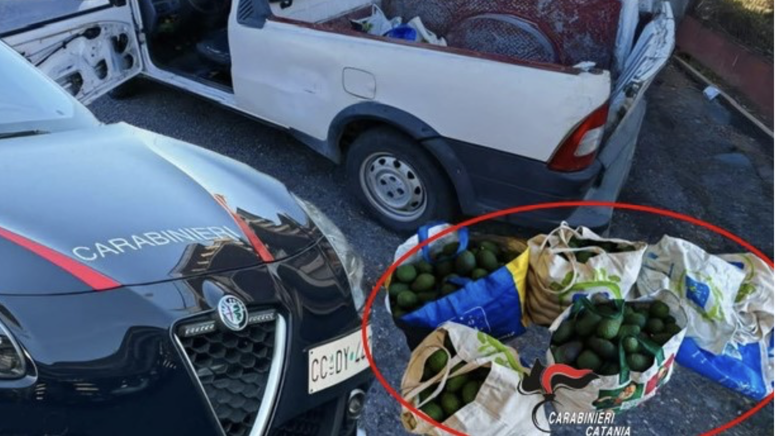 Santa Venerina Santa Venerina, rubano 150 kg di avocado: arrestati