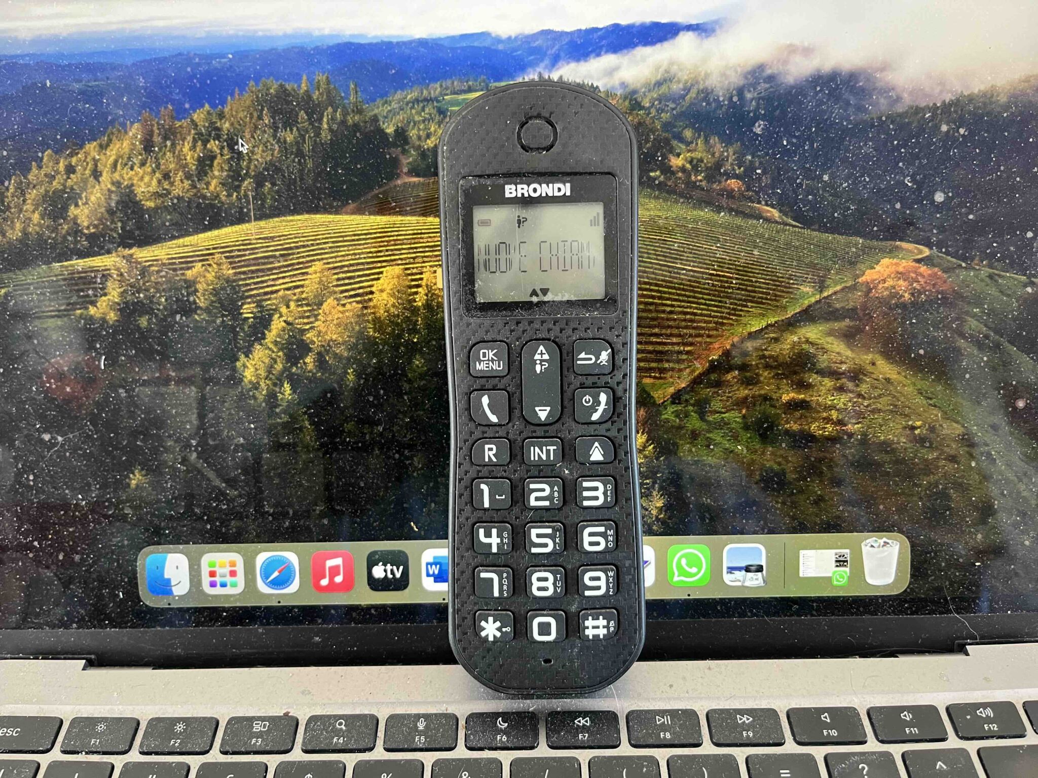 Catania, Codacons contro le telefonate moleste: esposto in Procura