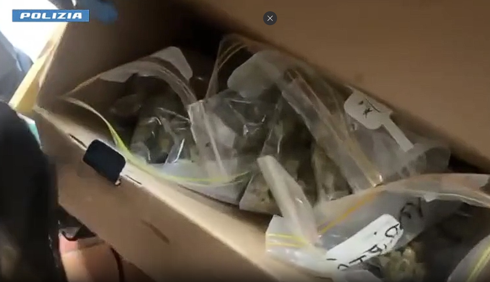 DETENEVA STUPEFACENTI NELLA STESSA CASA IN CUI VIVEVA CON IL FIGLIO DI 1 ANNO. ARRESTATA DALLA POLIZIA DI STATO UNA 21ENNE 1 Eroi a quattro zampe: Ares e Maui smascherano spaccio in casa
