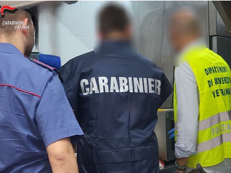 Controllo CC e Veterinaria Controlli Carabinieri Aci Sant’Antonio: 16 multe e 2 denunce