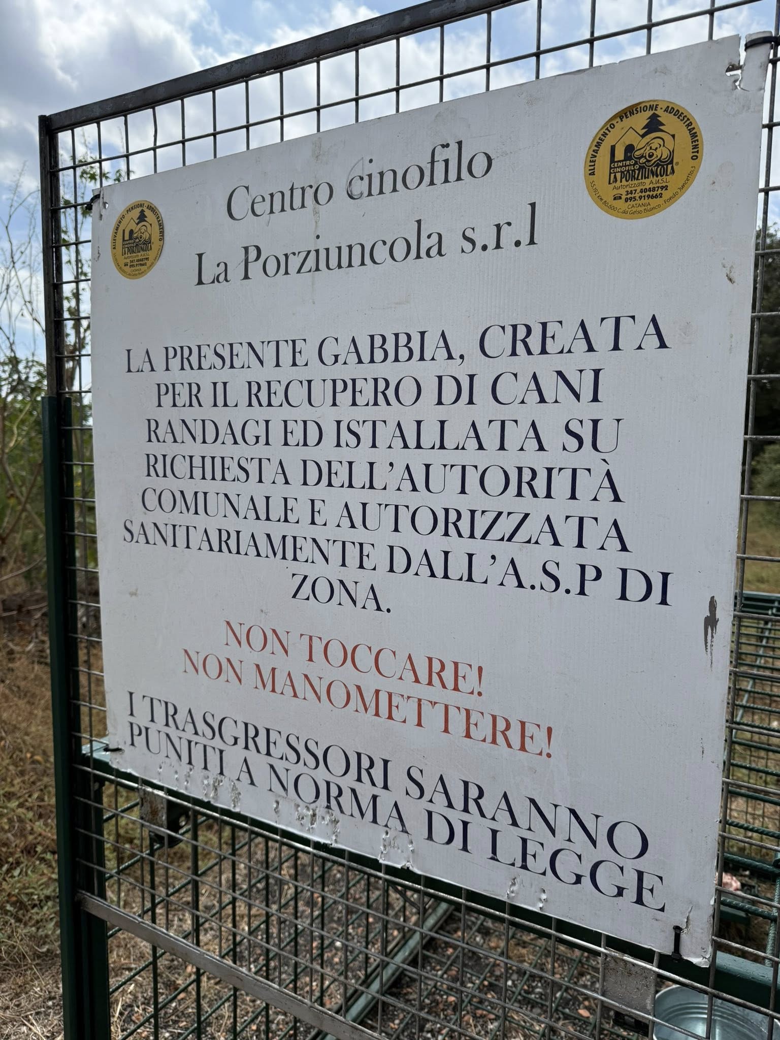 Randagismo a Mascali: installate gabbie-trappola per il controllo
