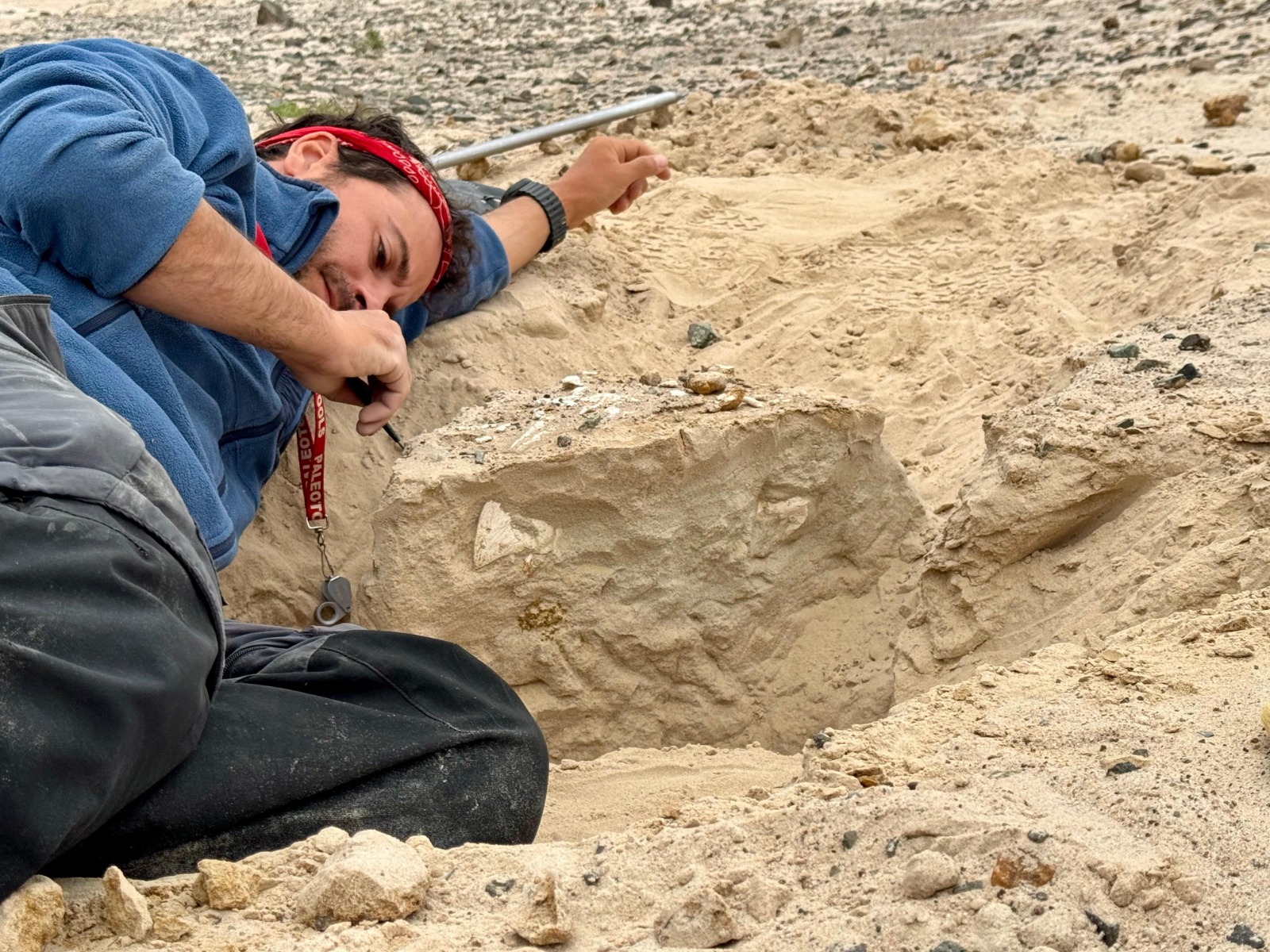 paleontologia e sostenibilità Intervista Alessandro Chiarenza: paleontologia e futuro sostenibile