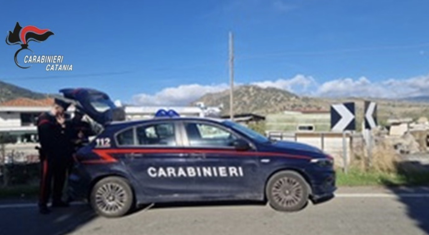 carabinieri maniace Maniace, trasporto irregolare di bestiame e vitello non tracciato