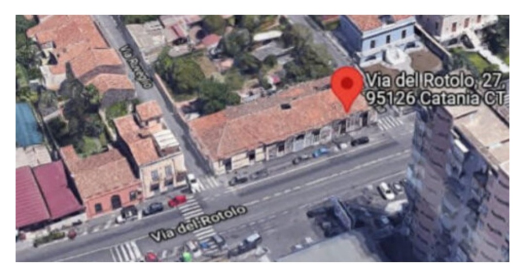 Catania, il verde scompare tra nuovi palazzi e silenzi Catania, il verde scompare tra nuovi palazzi e silenzi