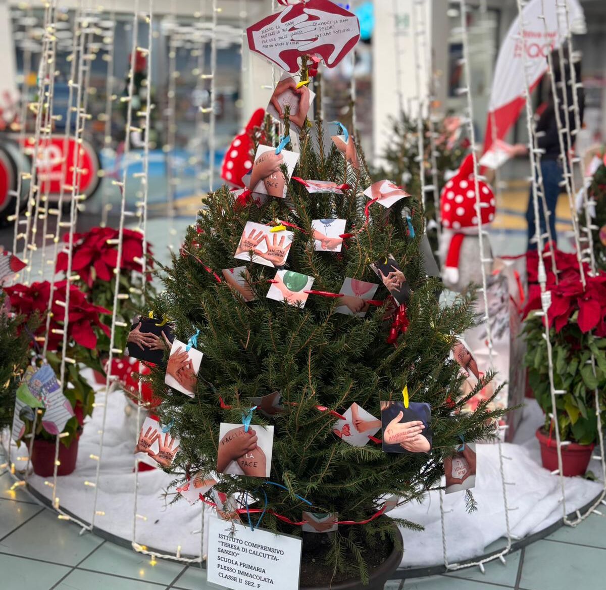 Un Albero per la Pace: scuole etnee tra creatività e valori