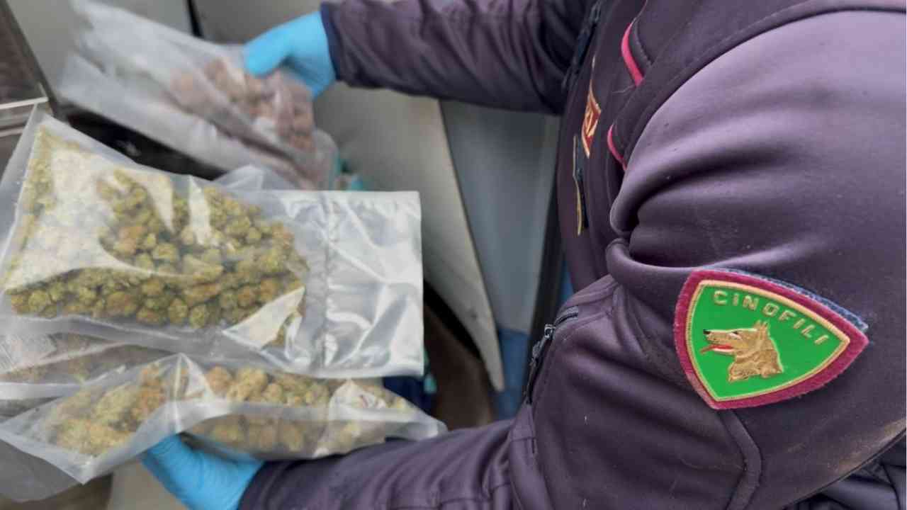 Catania San Giovanni Galermo sequestro di droga – 20260125 FreePressOnline San Giovanni Galermo controlli della Polizia: maxi sequestro di droga