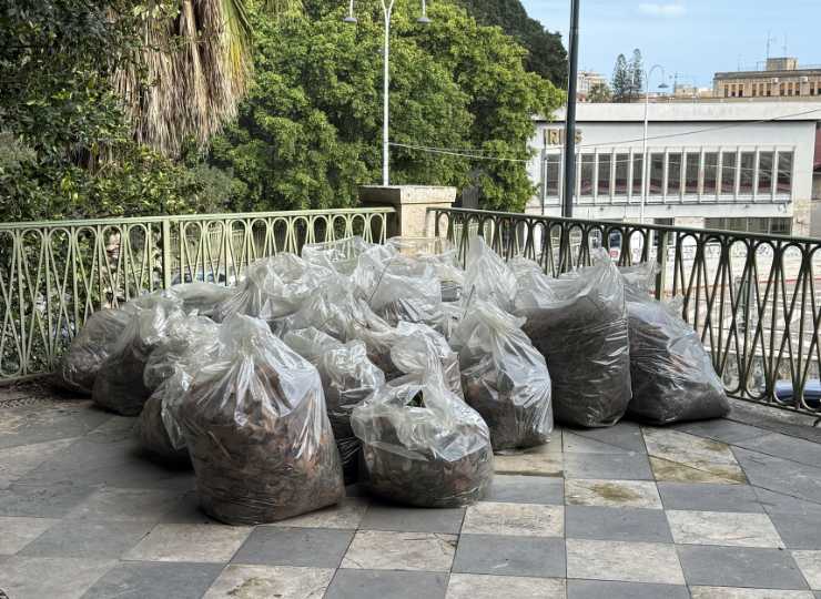 Pulizia di Villa Bellini dopo Harry - FreePressOnline