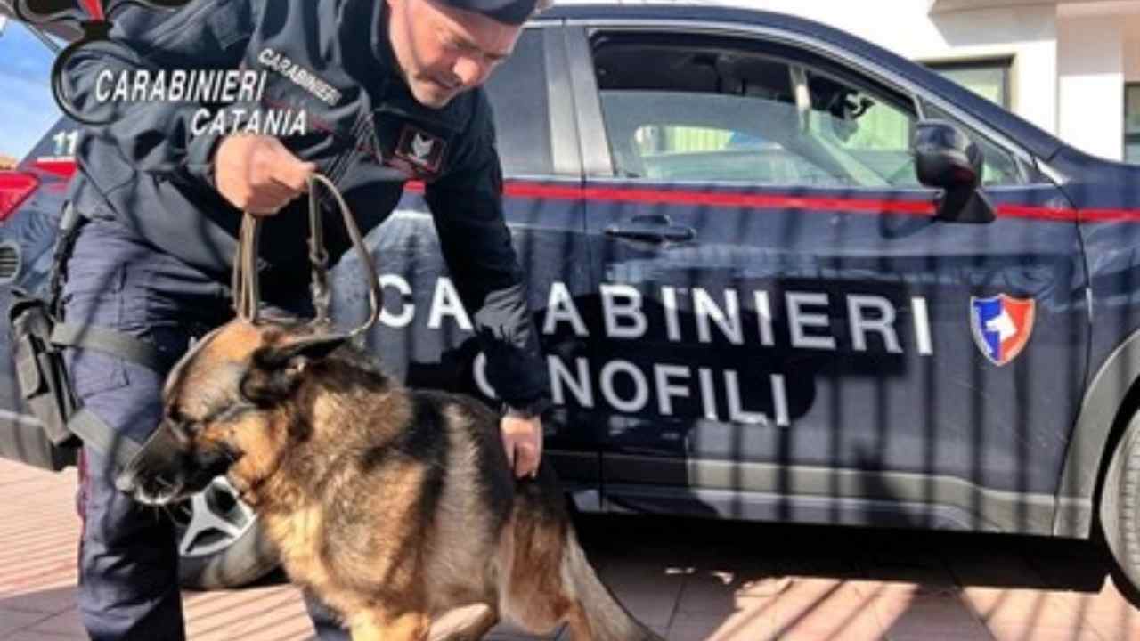 Paternò, controlli dei Carabinieri a scuola: coltello e droga, due minori coinvolti