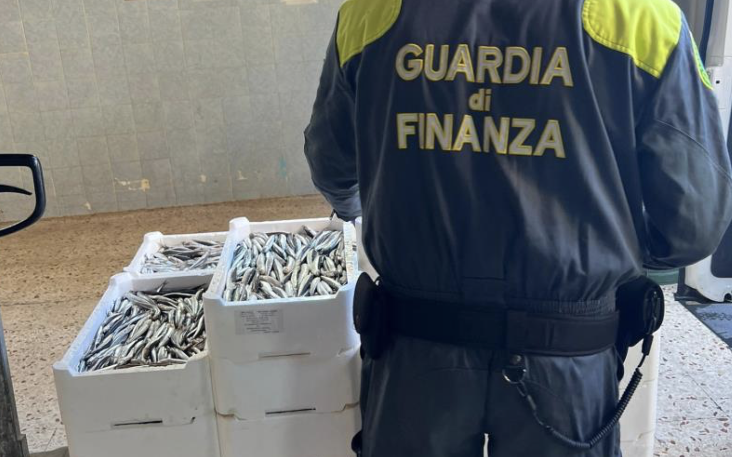 Messina, sequestrati 540 chili di pesce senza tracciabilità
