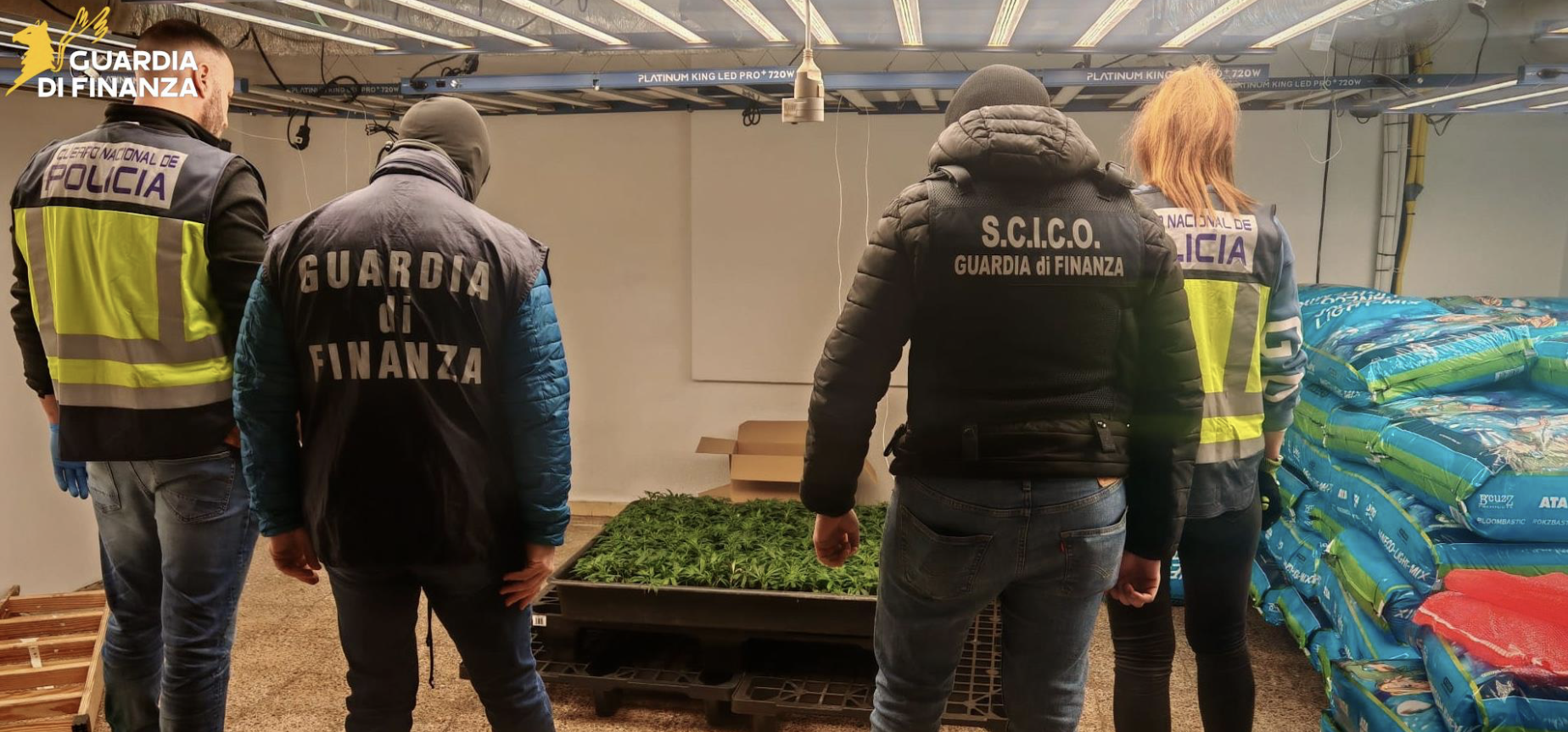 Tra Italia e Spagna 12 arresti per traffico di droga, sequestri per un milione Tra Italia e Spagna 12 arresti per droga, sequestri per un milione
