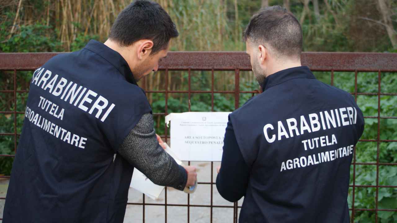 Truffa UE in Sicilia Carabinieri – 20260219 FreePressOnline Truffa UE in Sicilia: arresti, misure e maxi sequestro di titoli PAC