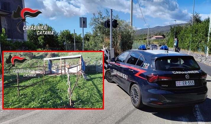 foto comunicato piedimonte etneo Cavallo sparito a Piedimonte Etneo: 68enne nei guai!